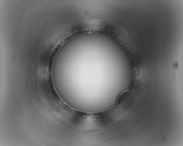 X0000112840564200908211244