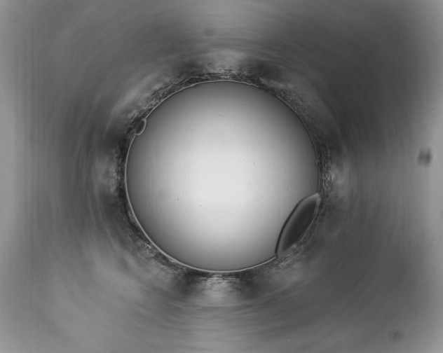 X0000112840566200908211244