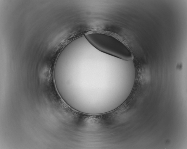 X0000112840568200908211244