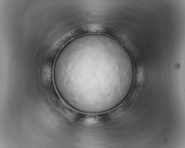 X0000112840569200908211244