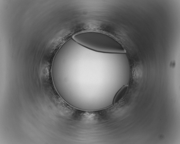 X0000112840570200908211244