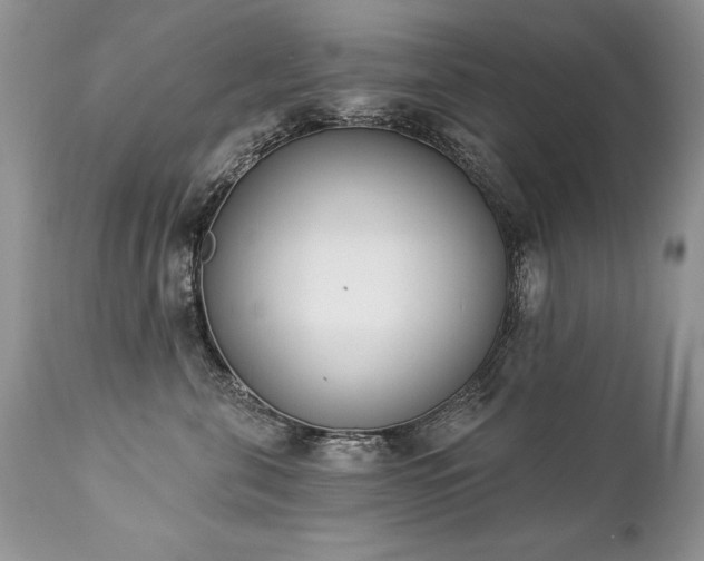 X0000112840571200908211244