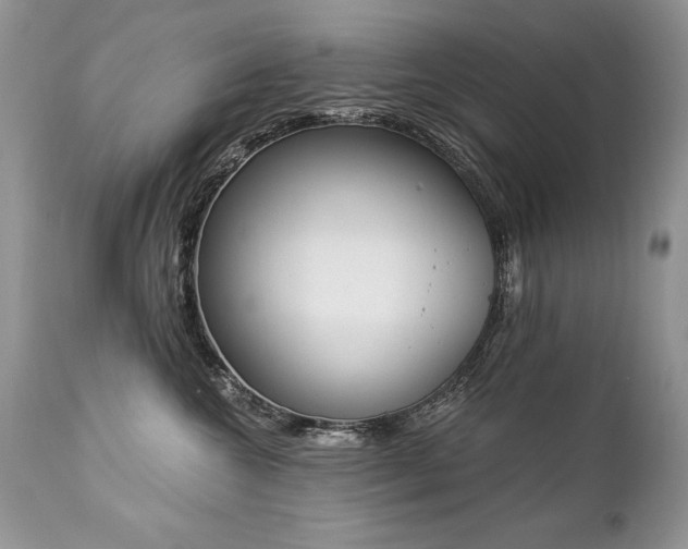 X0000112840572200908211244