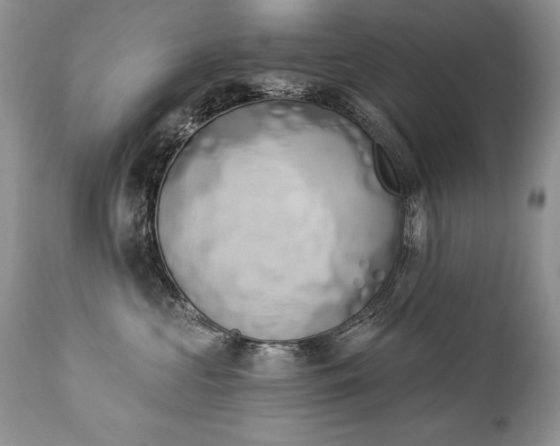 X0000112840573200908211244