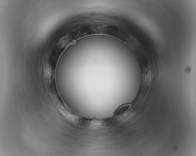 X0000112840574200908211244