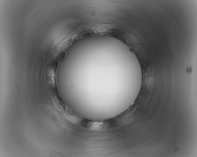 X0000112840575200908211244