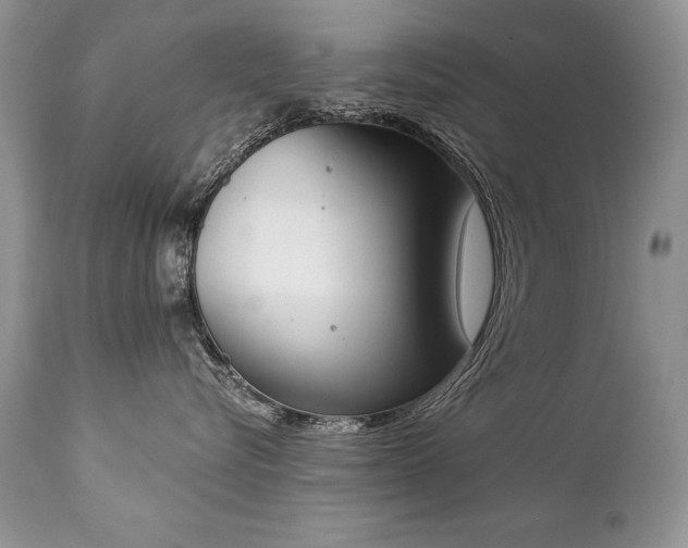 X0000112840576200908211244