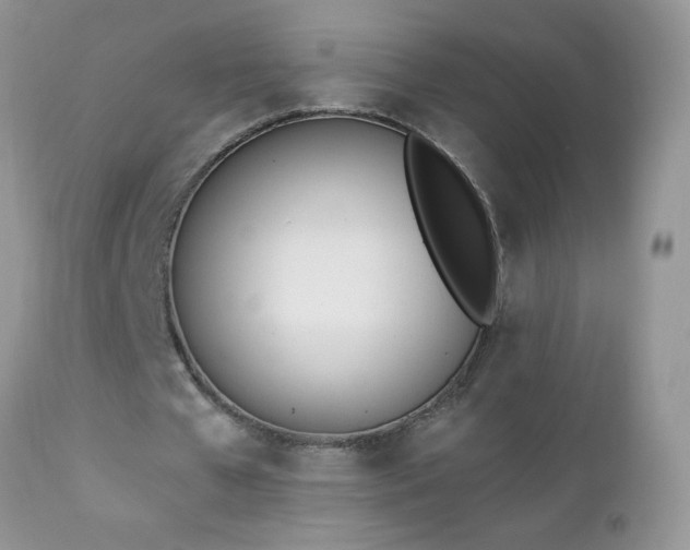 X0000112840577200908211243