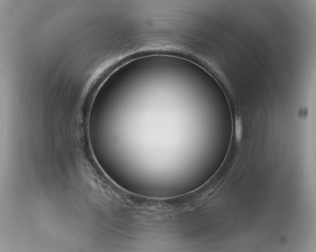 X0000112840579200908211243