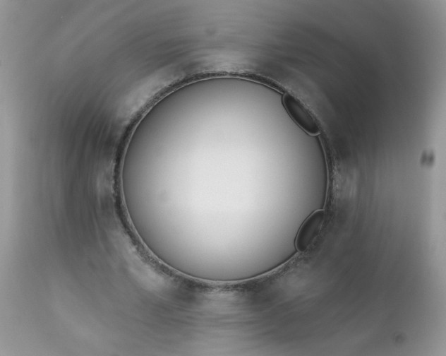 X0000112840581200908211243