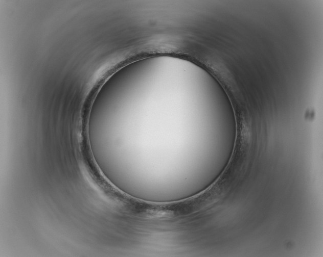 X0000112840582200908211243