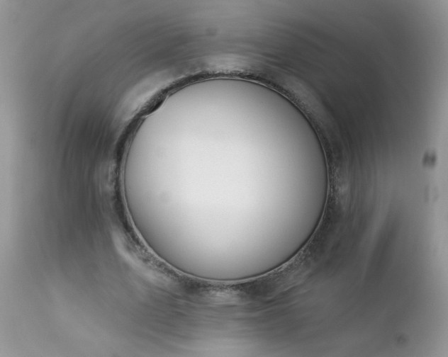 X0000112840583200908211243