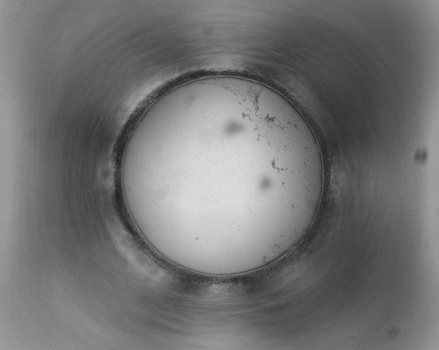 X0000112840584200908211243