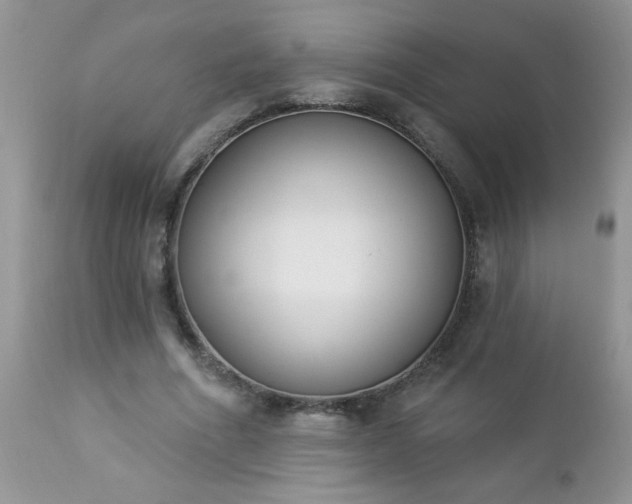 X0000112840586200908211243