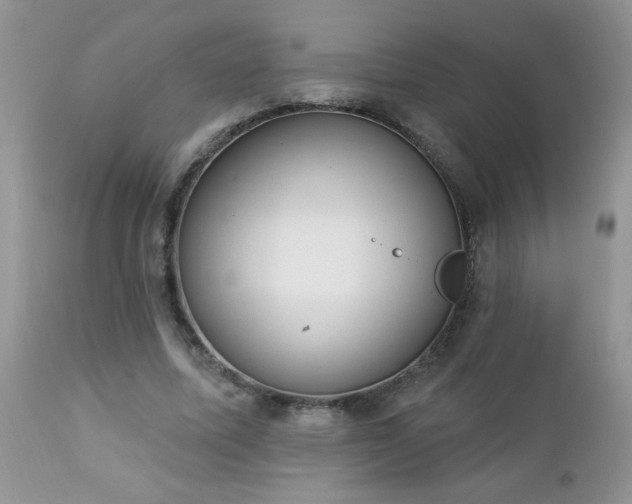 X0000112840587200908211243