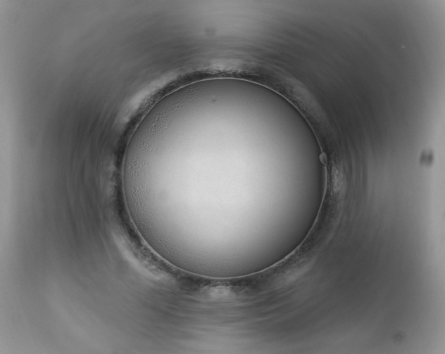 X0000112840588200908211243