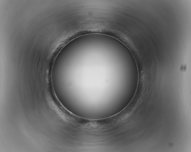 X0000112840589200908211243