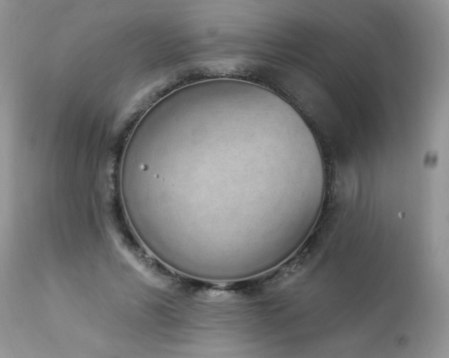 X0000112840590200908211243