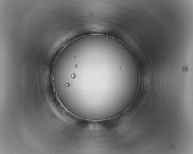 X0000112840591200908211243