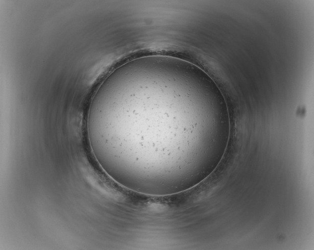 X0000112840592200908211243