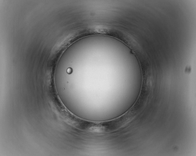 X0000112840595200908211243