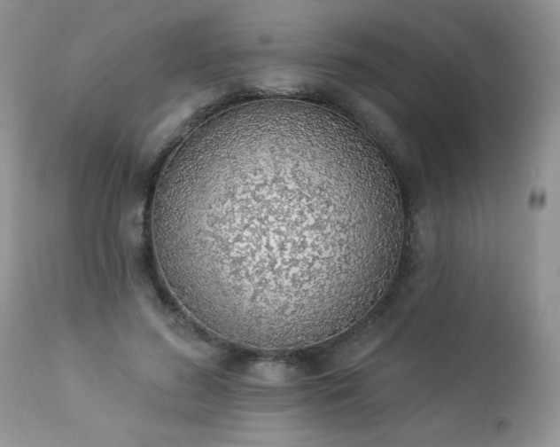 X0000112840596200908211243