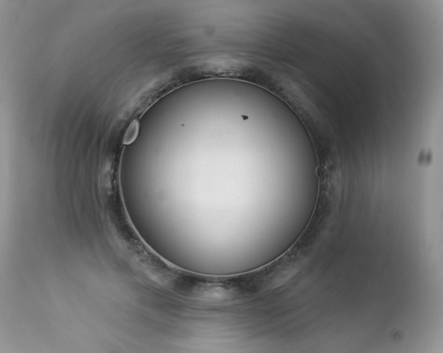 X0000112840597200908211243