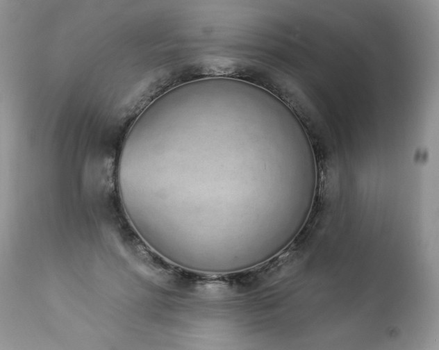 X0000112840598200908211243