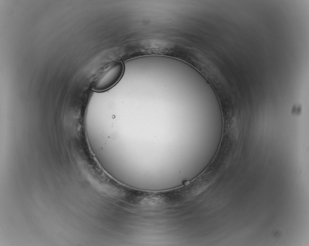 X0000112840599200908211243