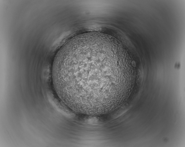 X0000112840600200908211243