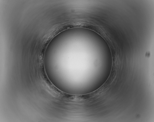 X0000112840601200908211243