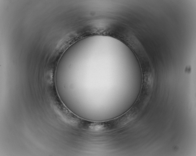 X0000112840602200908211243