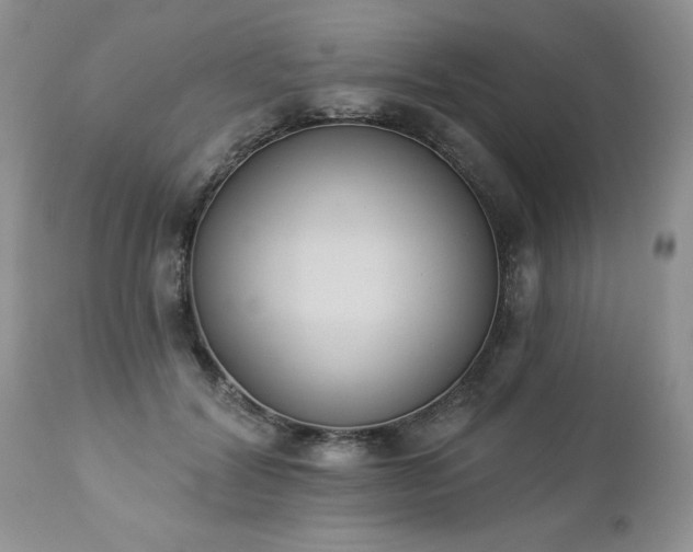 X0000112840604200908211243