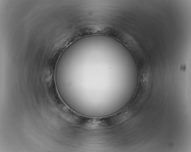 X0000112840607200908211243