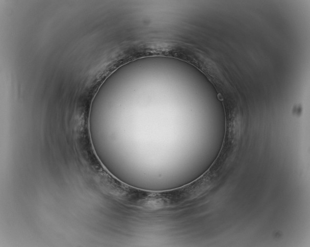 X0000112840608200908211243