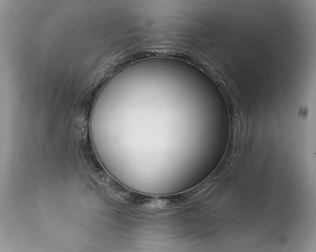 X0000112840609200908211243