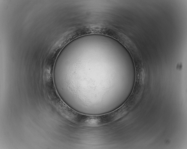 X0000112840610200908211243