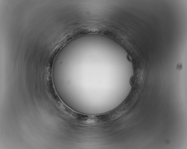 X0000112840612200908211243