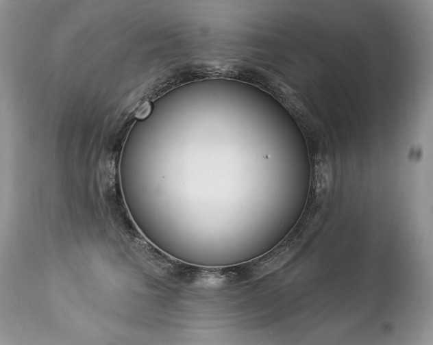 X0000112840613200908211243