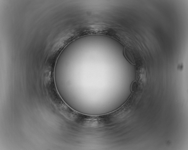 X0000112840615200908211243