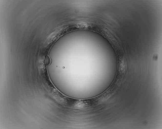 X0000112840616200908211243