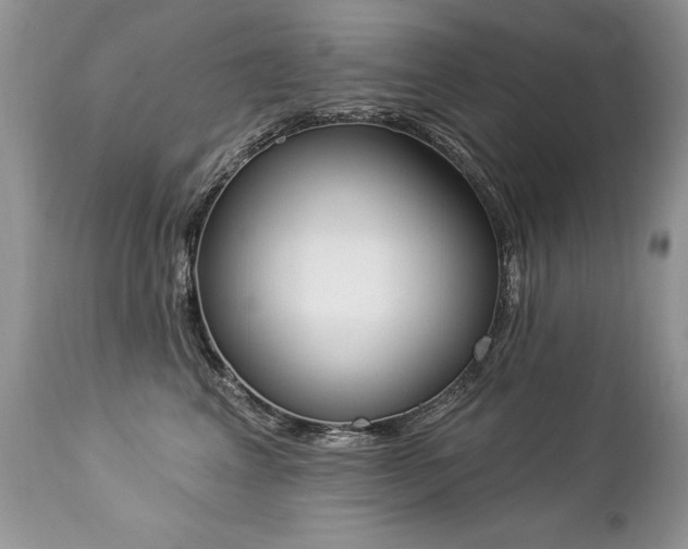 X0000112840617200908211243