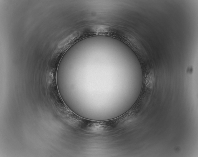 X0000112840618200908211243