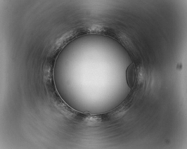 X0000112840619200908211242