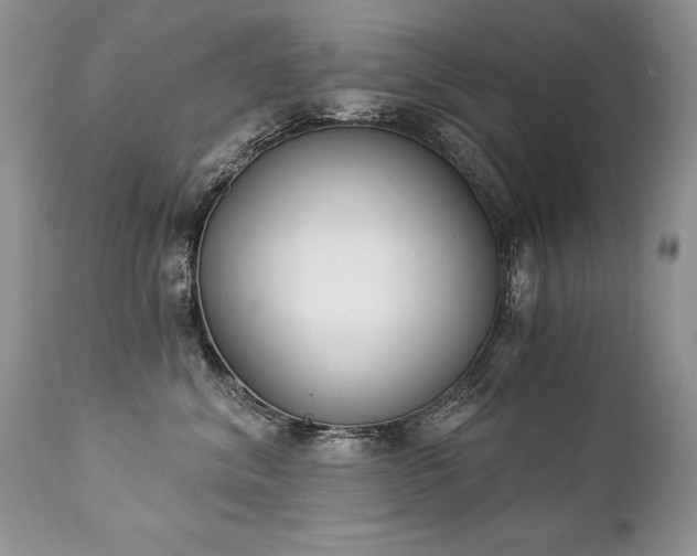 X0000112840620200908211242