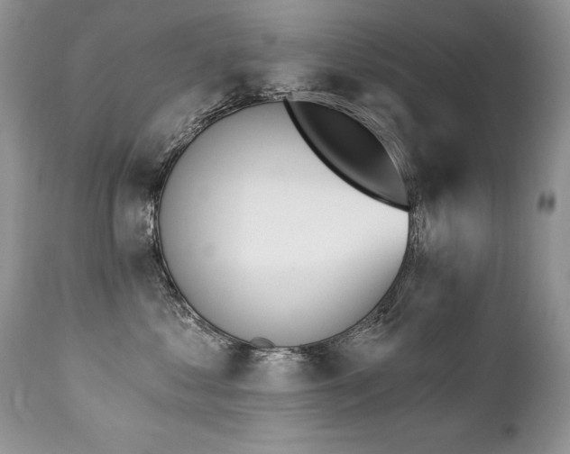 X0000112840621200908211242