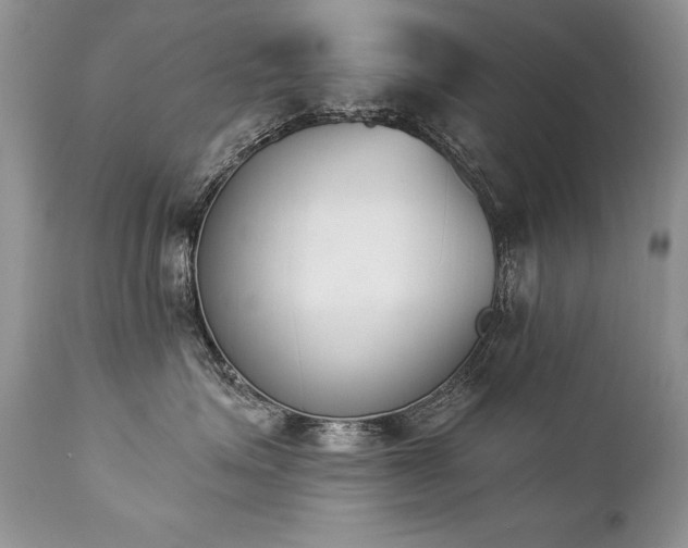 X0000112840623200908211242