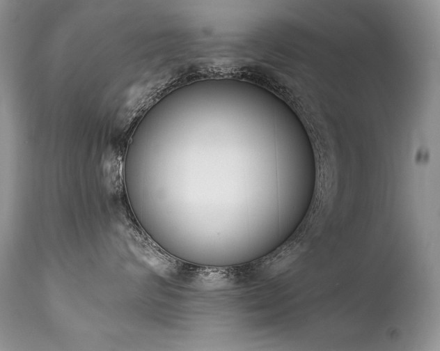 X0000112840624200908211242