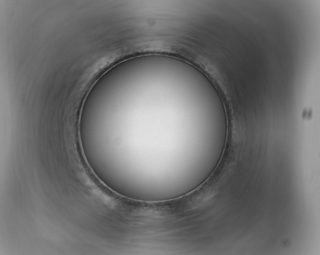 X0000112840625200908211242