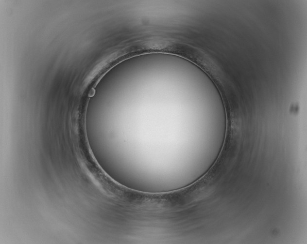 X0000112840626200908211242